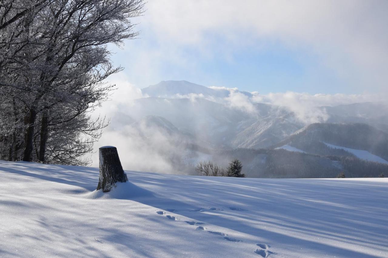 Urlaub Am Bauernhof Hoebarten Sankt Anton an der Jessnitz Dış mekan fotoğraf